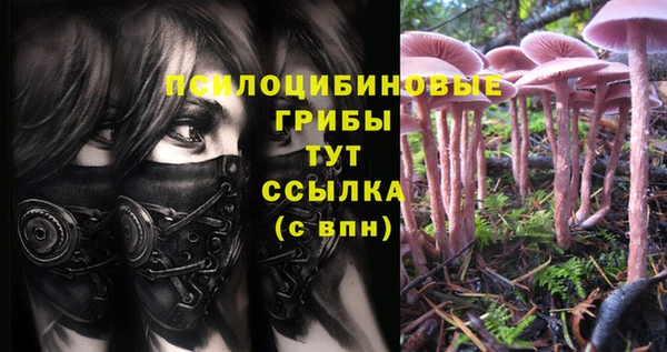 дживик Аркадак