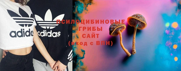ГАЛЛЮЦИНОГЕННЫЕ ГРИБЫ Алексеевка