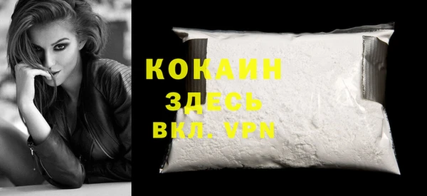 гидра Арсеньев