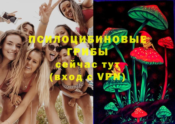 гашик Армянск