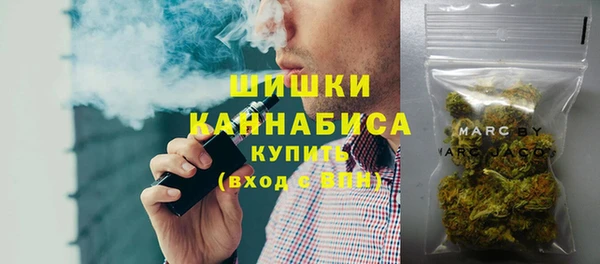 гидра Арсеньев